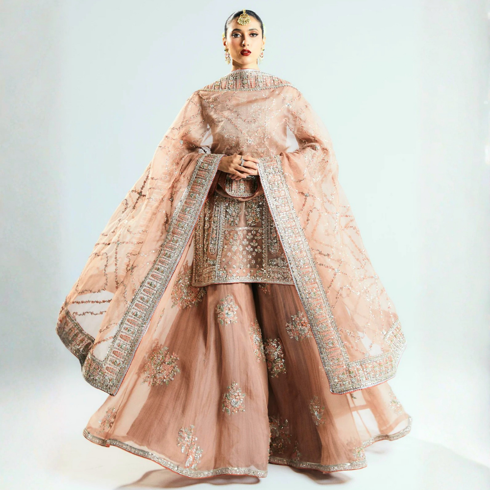 Hussain Rehar Formal Dress Organza